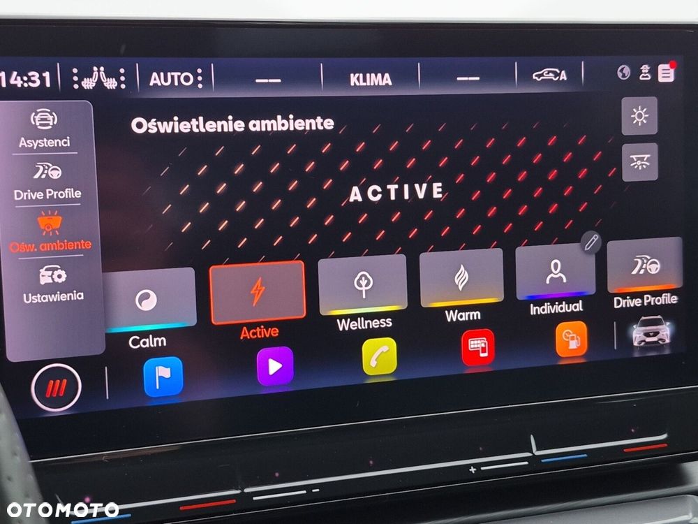 Cupra Formentor 2.0 TSI 4Drive DSG - 29