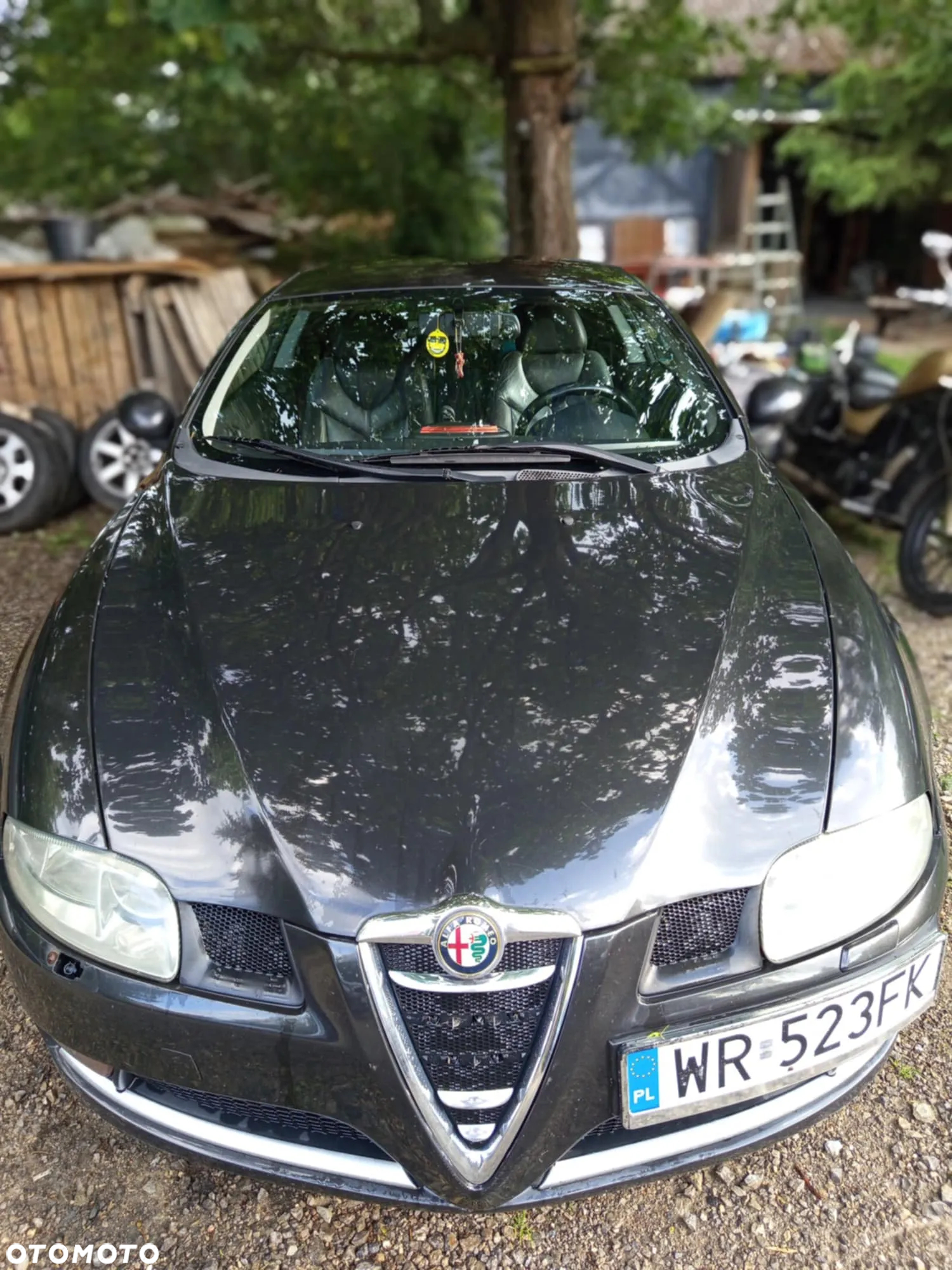 Alfa Romeo GT - 6