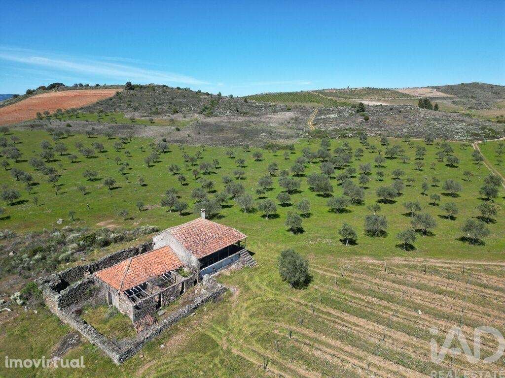 Quinta em Vila Flor e Nabo de 216 m2 - Grande imagem: 3/26