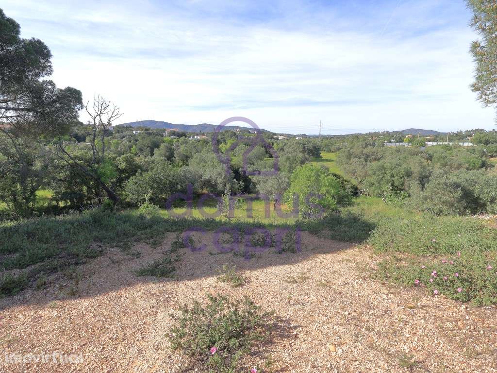 Terreno Urbanizável em Quatrim - Moncarapacho - Grande imagem: 4/17