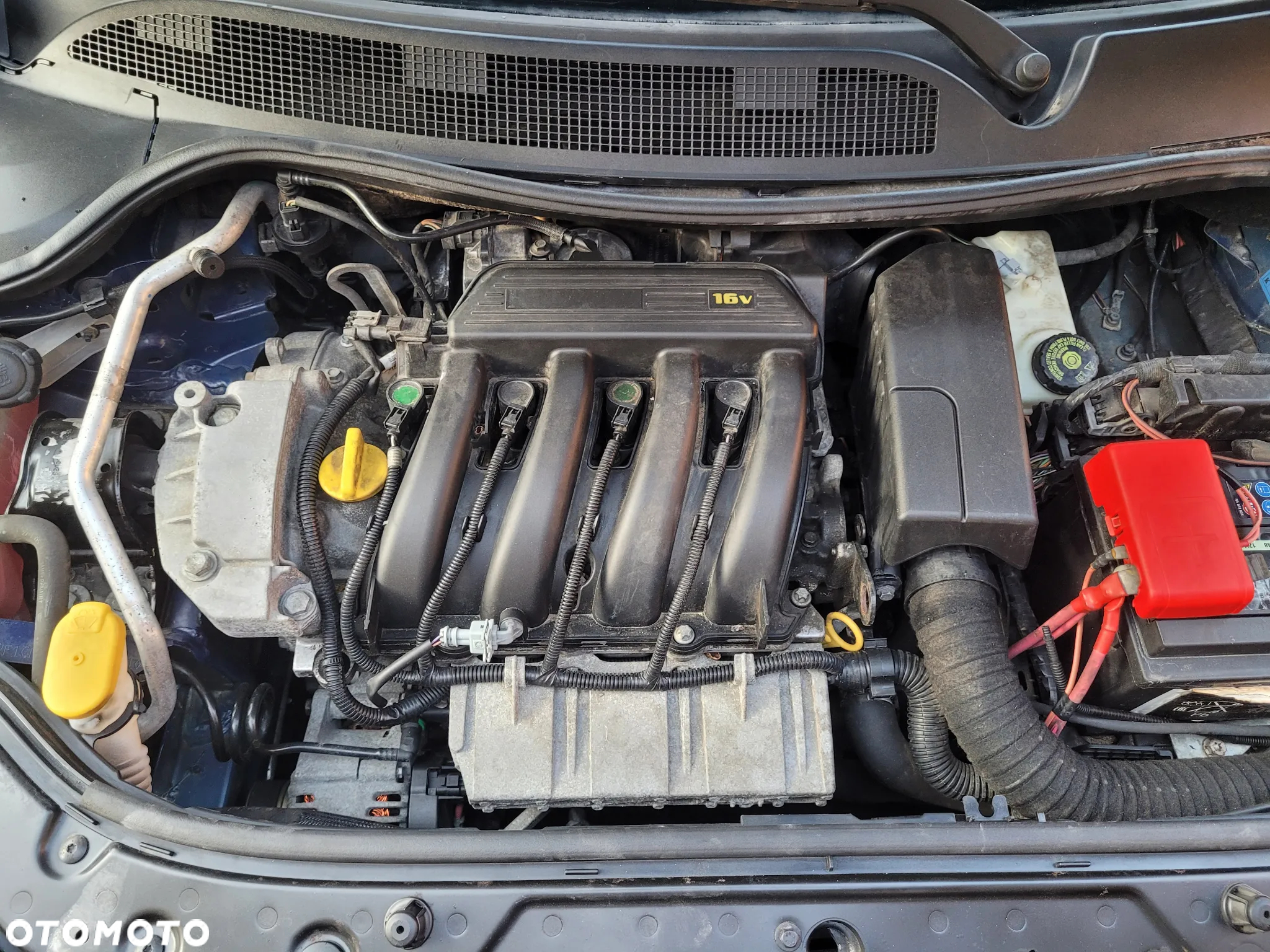 Renault Megane - 19