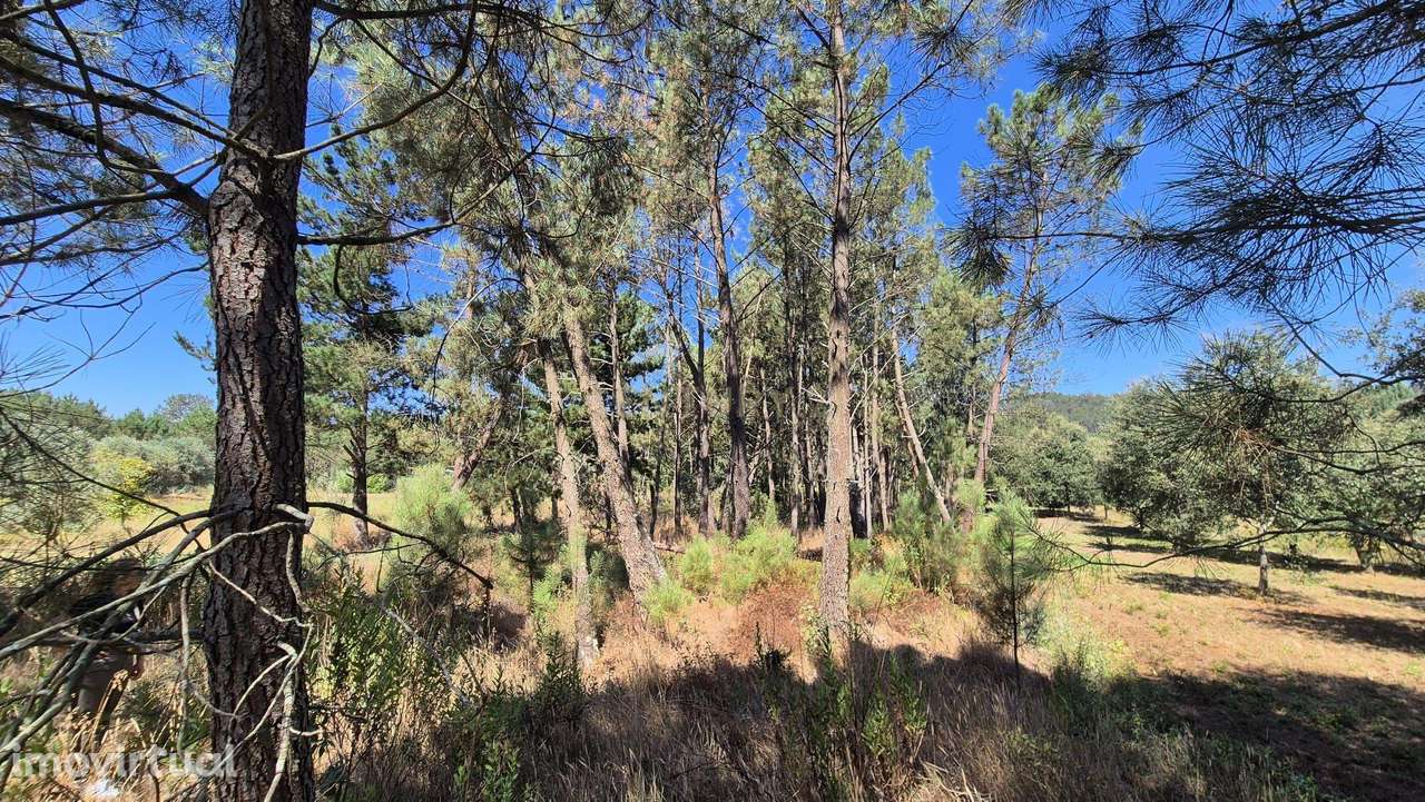 Terreno para Construção em Pombal, Leiria - Oportunidade Única! - Grande imagem: 3/29