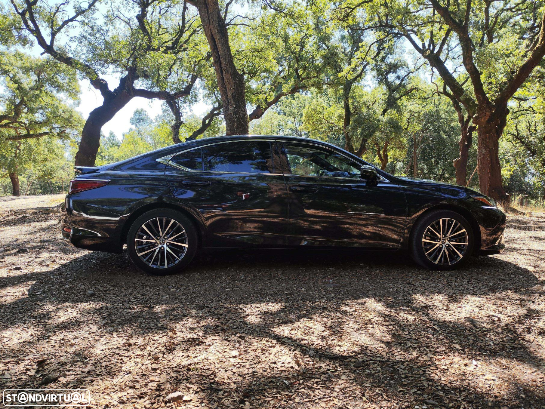 Lexus ES 300h Special Edition - 4