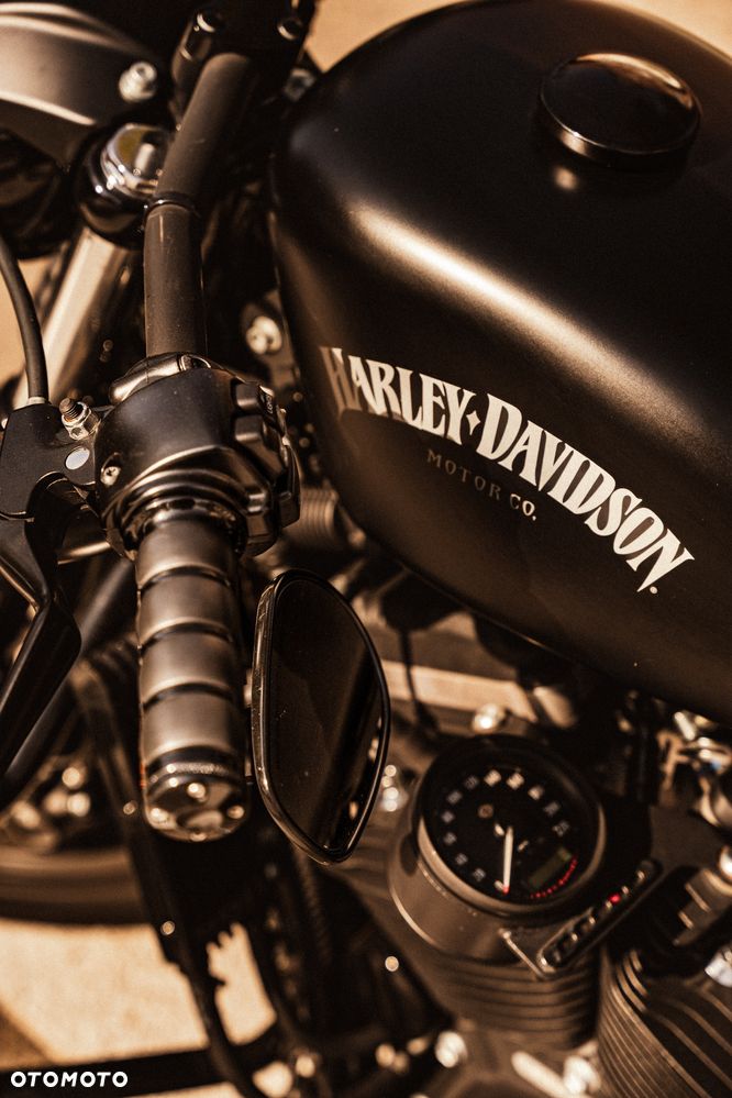 Harley-Davidson Sportster Iron 883 - 3