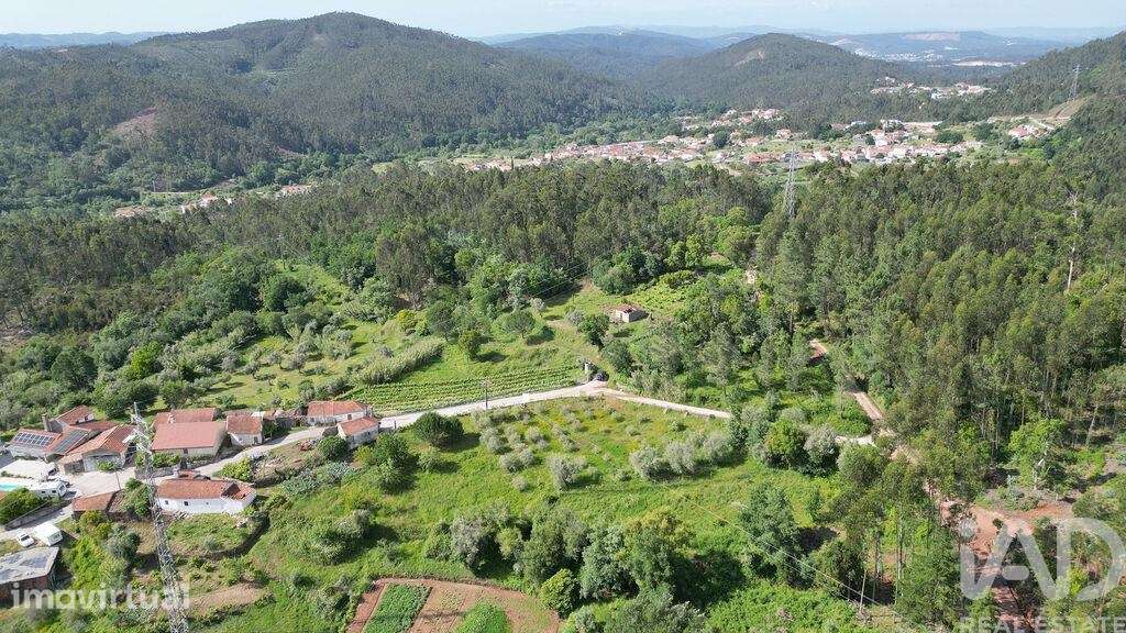 Terreno para construção em São Miguel, Santa Eufémia e Rabaçal - Grande imagem: 5/16
