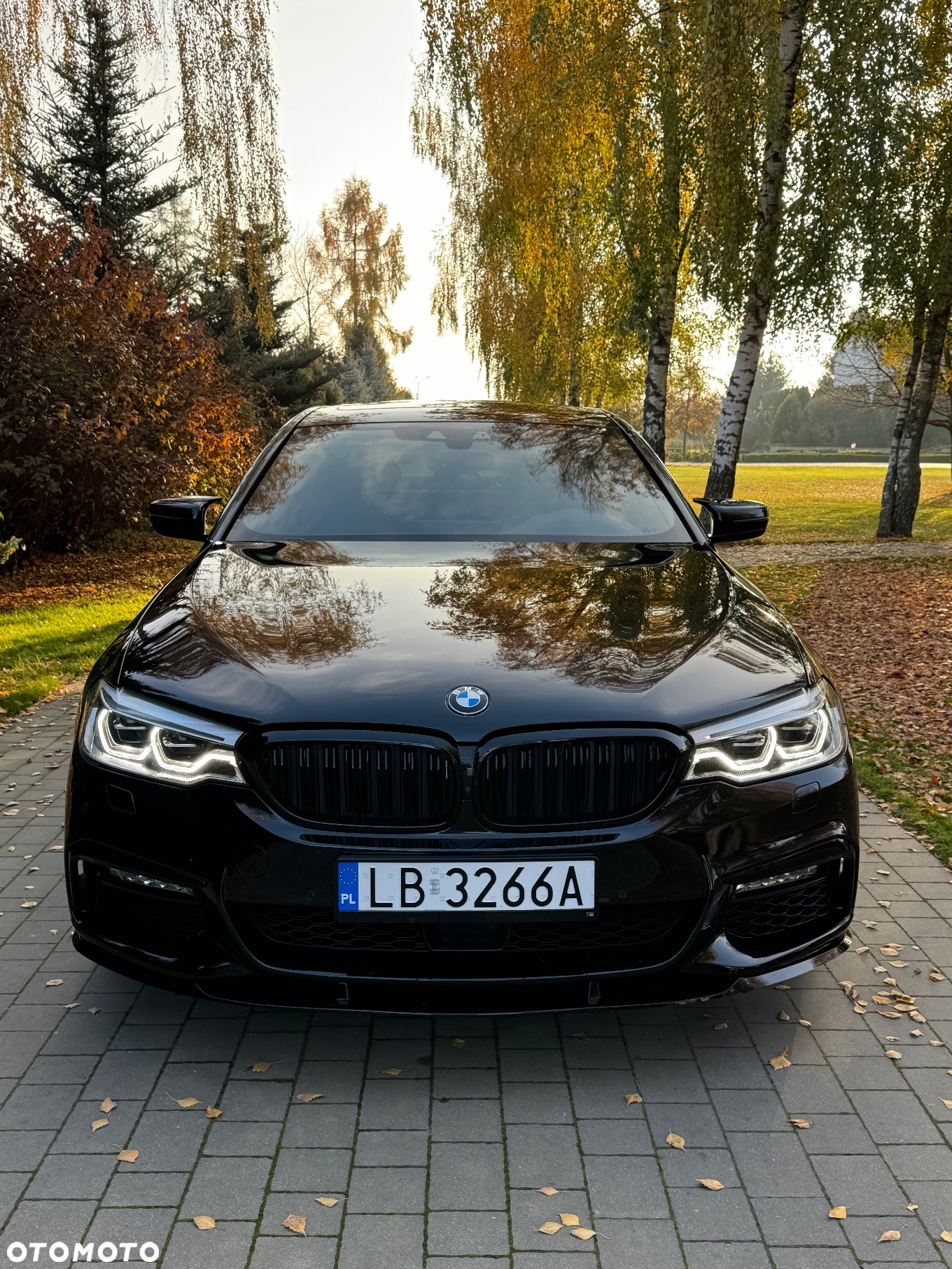 BMW Seria 5 540d xDrive M Sport sport - 2