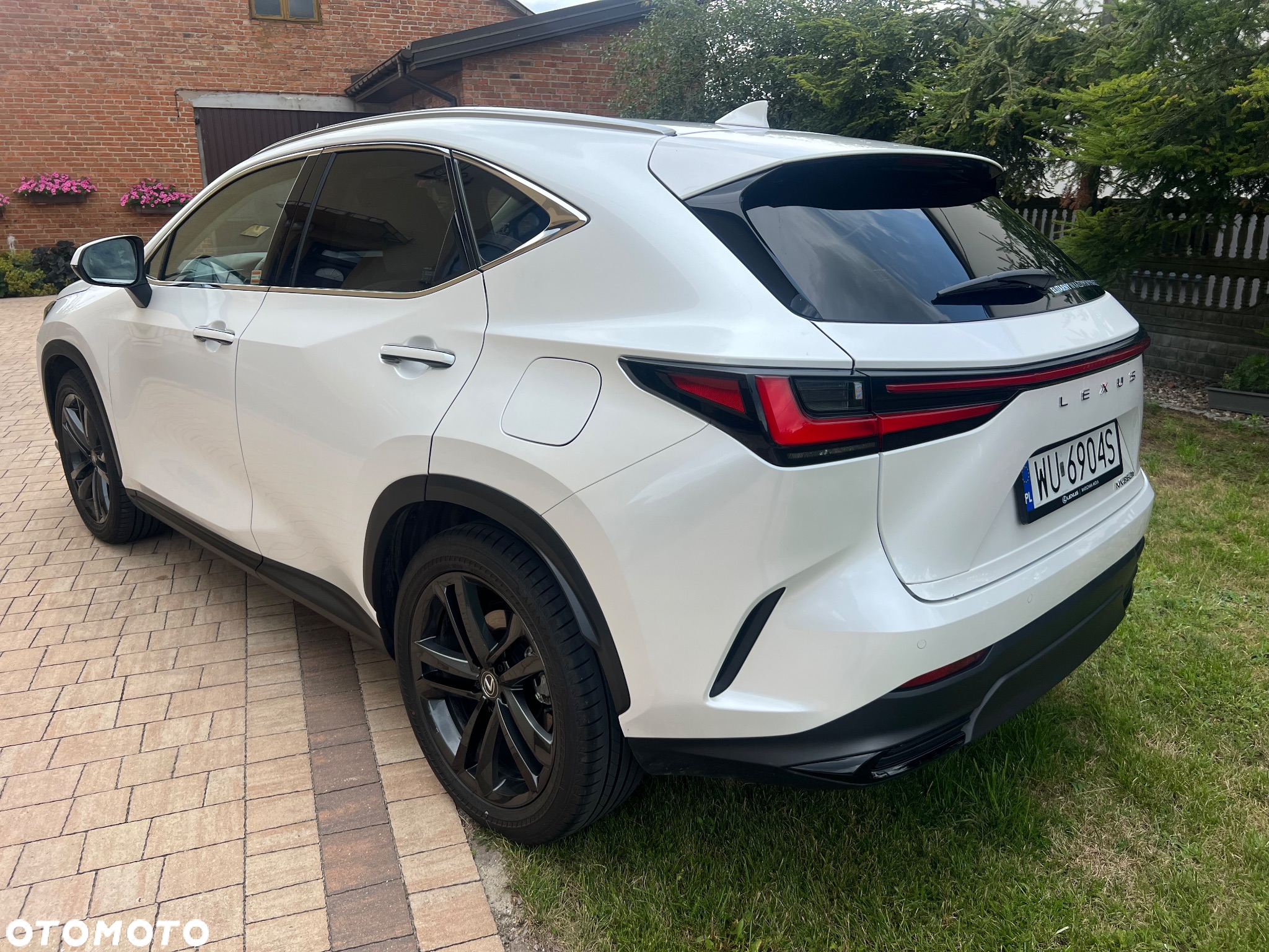 Lexus NX 350h Prestige AWD - 15