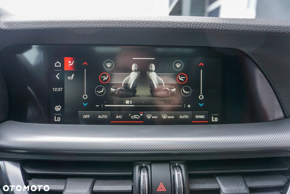Alfa Romeo Stelvio 2.0 Turbo Veloce Q4 - 19