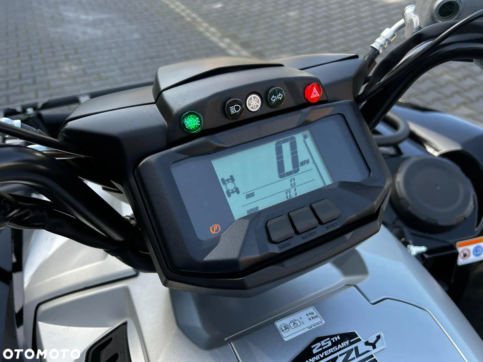 Yamaha Grizzly - 17