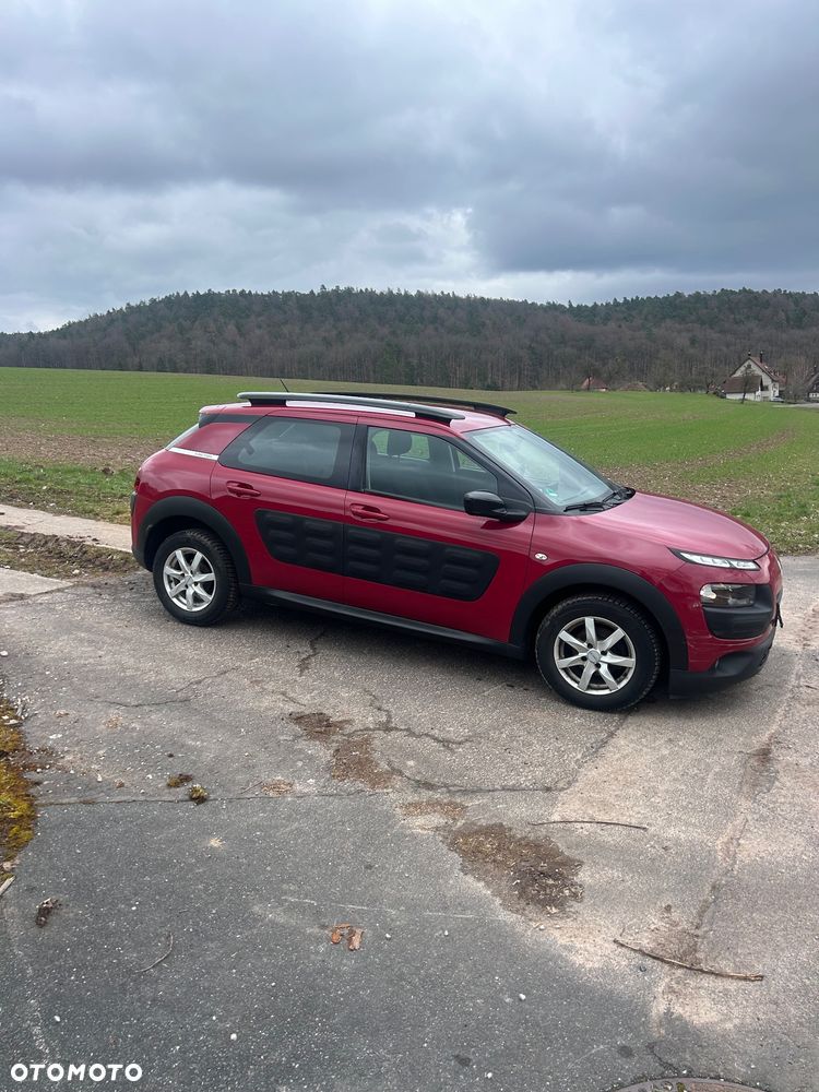 Citroën C4 Cactus PureTech 82 Business Class - 5