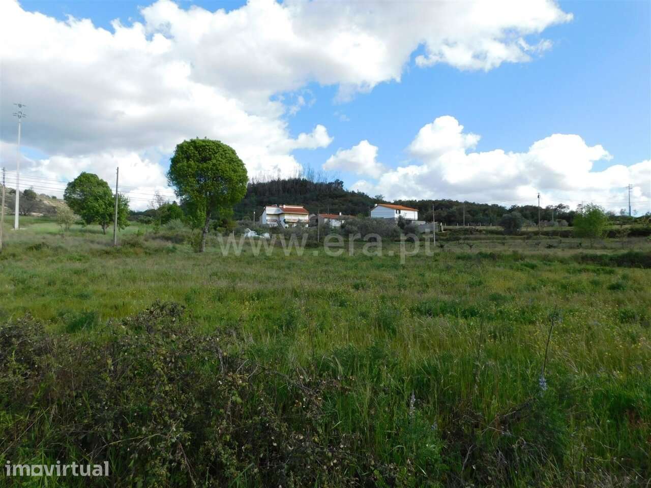 Terreno / Belmonte, Carvalhal Formoso - Grande imagem: 5/14