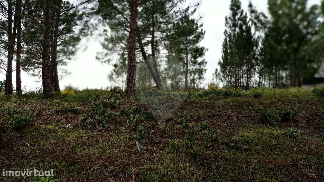 Terreno  para venda - Grande imagem: 4/5