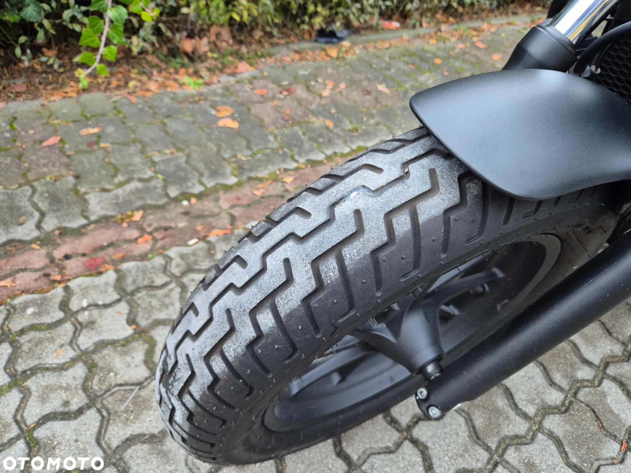 Honda CMX - 4