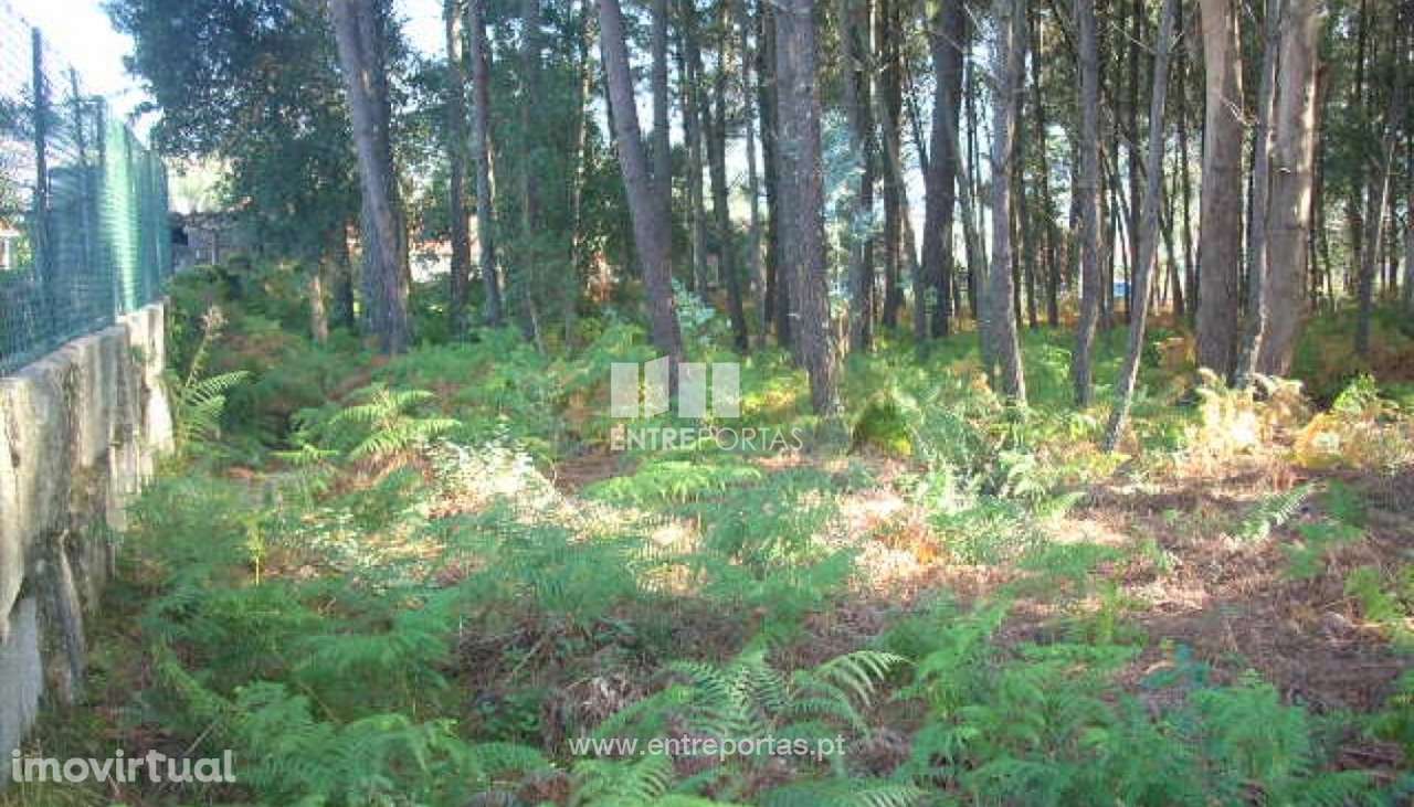 Venda Terreno para loteamento, Vila Boa do Bispo, Marco de Canaveses - Grande imagem: 2/33