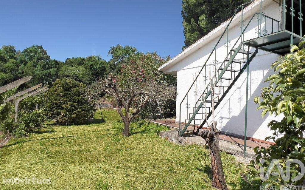 Casa / Villa T4 em Madalena e Beselga de 170,00 m2 - Grande imagem: 3/30