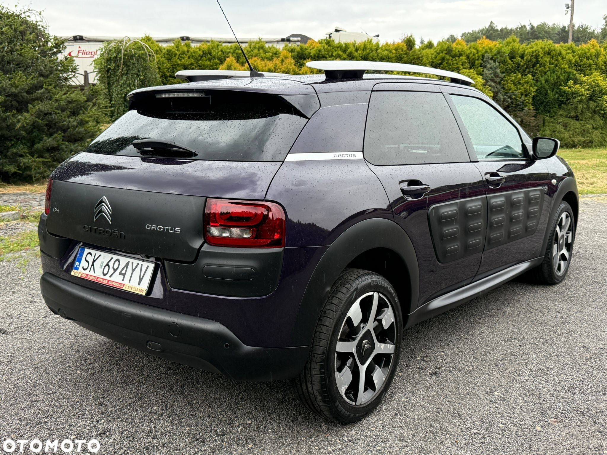Citroën C4 Cactus 1.2 PureTech Shine S&S - 4