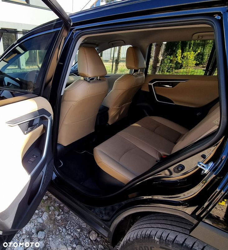 Toyota RAV4 2.5 Hybrid Executive 4x4 - 21