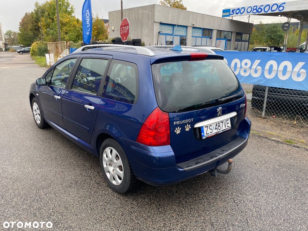 Peugeot 307 110 Grand Filou Cool - 20