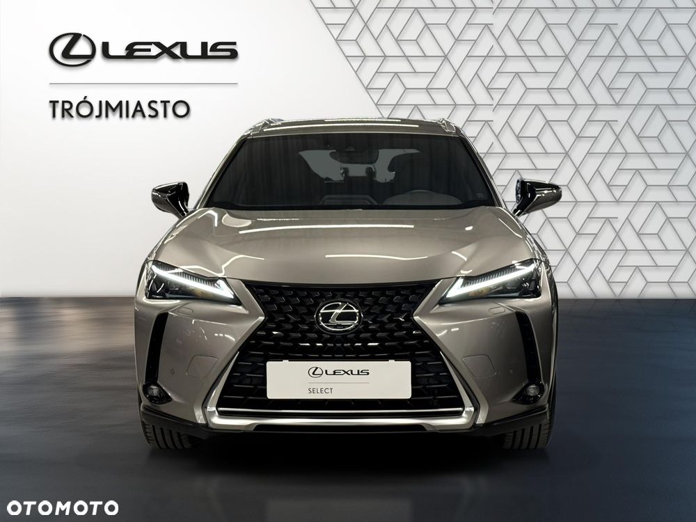 Lexus UX 250h GPF Business 2WD - 9