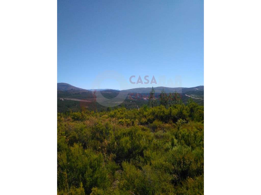 Terreno com vistas privilegiadas para a barragem de Santa Luzia - Grande imagem: 5/6