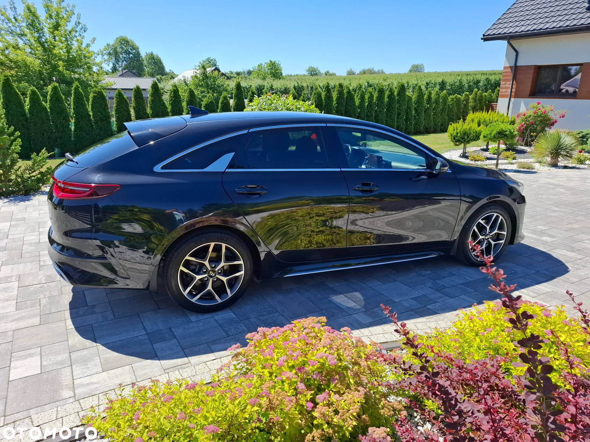 Kia ProCeed 1.5 T-GDI GT Line - 13