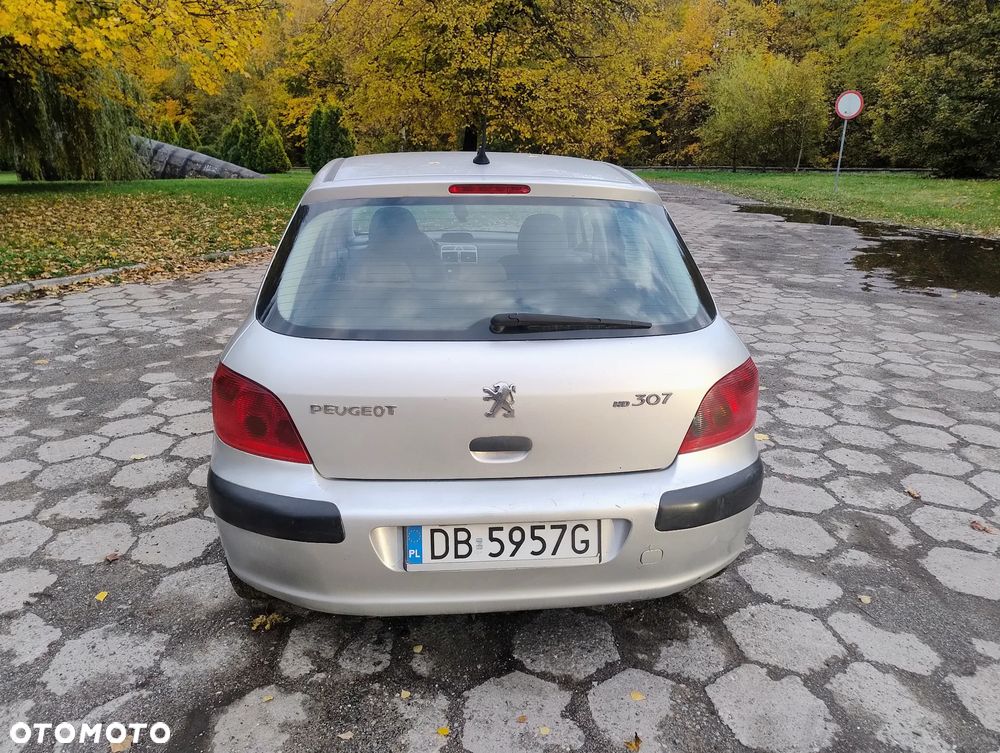 Peugeot 307 2002 photo 3