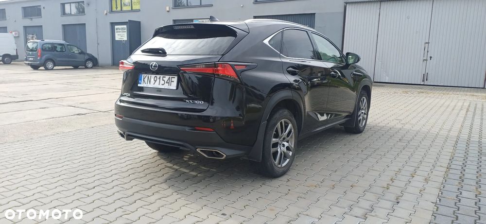 Lexus NX 300 - 13