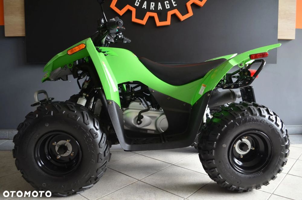 Arctic Cat Inny - 16