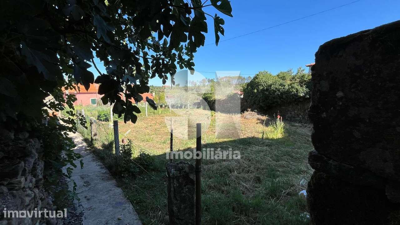 Duas Ruínas para Recuperar com Terreno na Região Demarcada do Douro - Grande imagem: 3/19