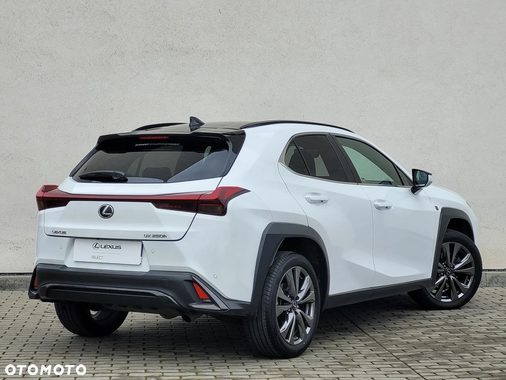 Lexus UX 250h GPF F Sport Design+ 2WD - 6