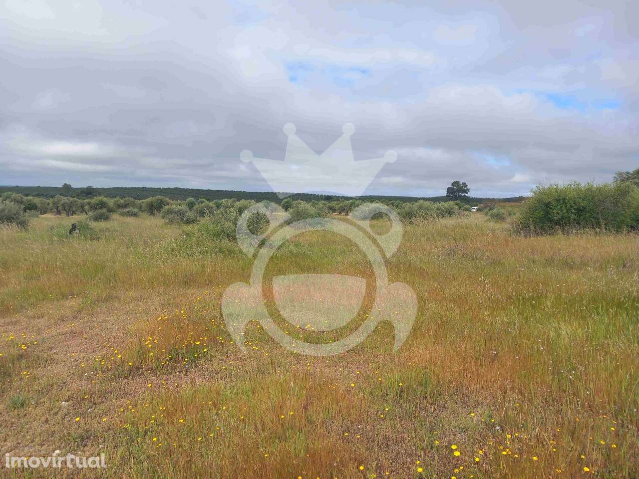 Terreno Rústico com ruína - 3Ha - Grande imagem: 4/14