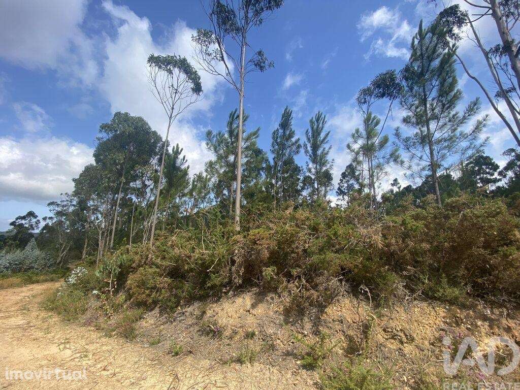 Terreno para construção em Sopo de 5000,00 m2 - Grande imagem: 2/23
