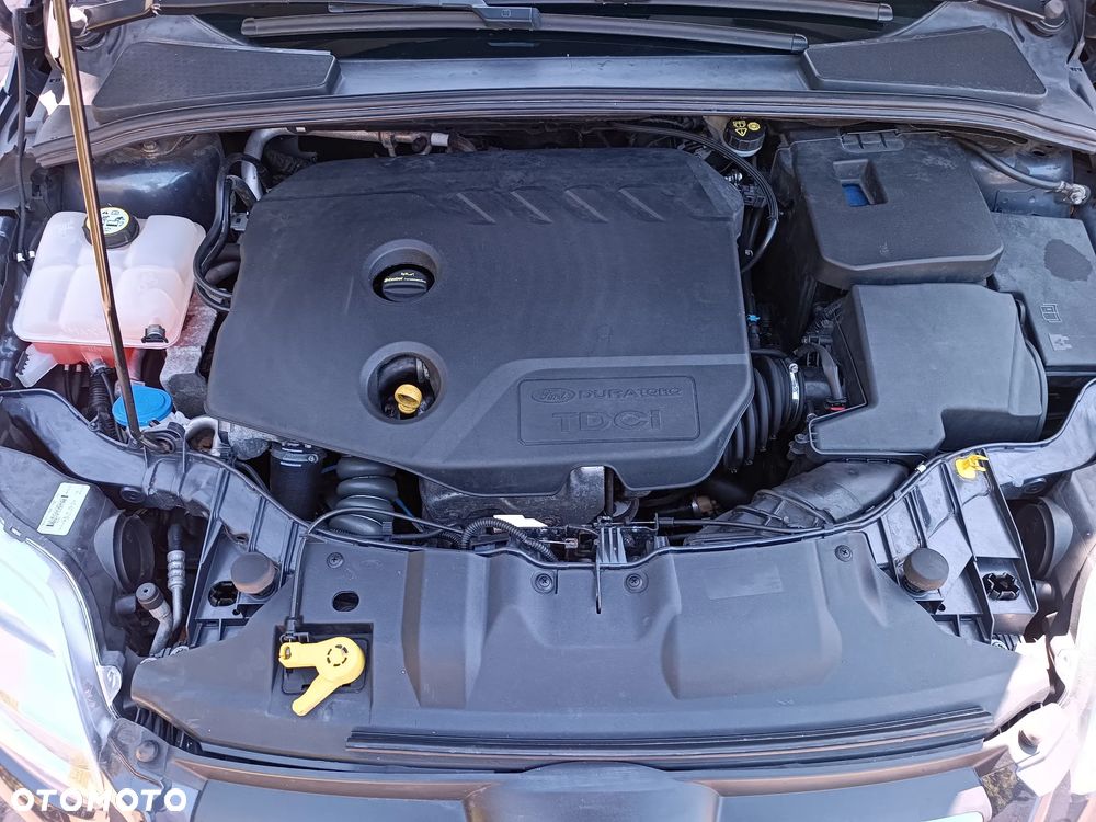 Ford Focus 1.6 TDCi DPF Start-Stopp-System Trend - 13