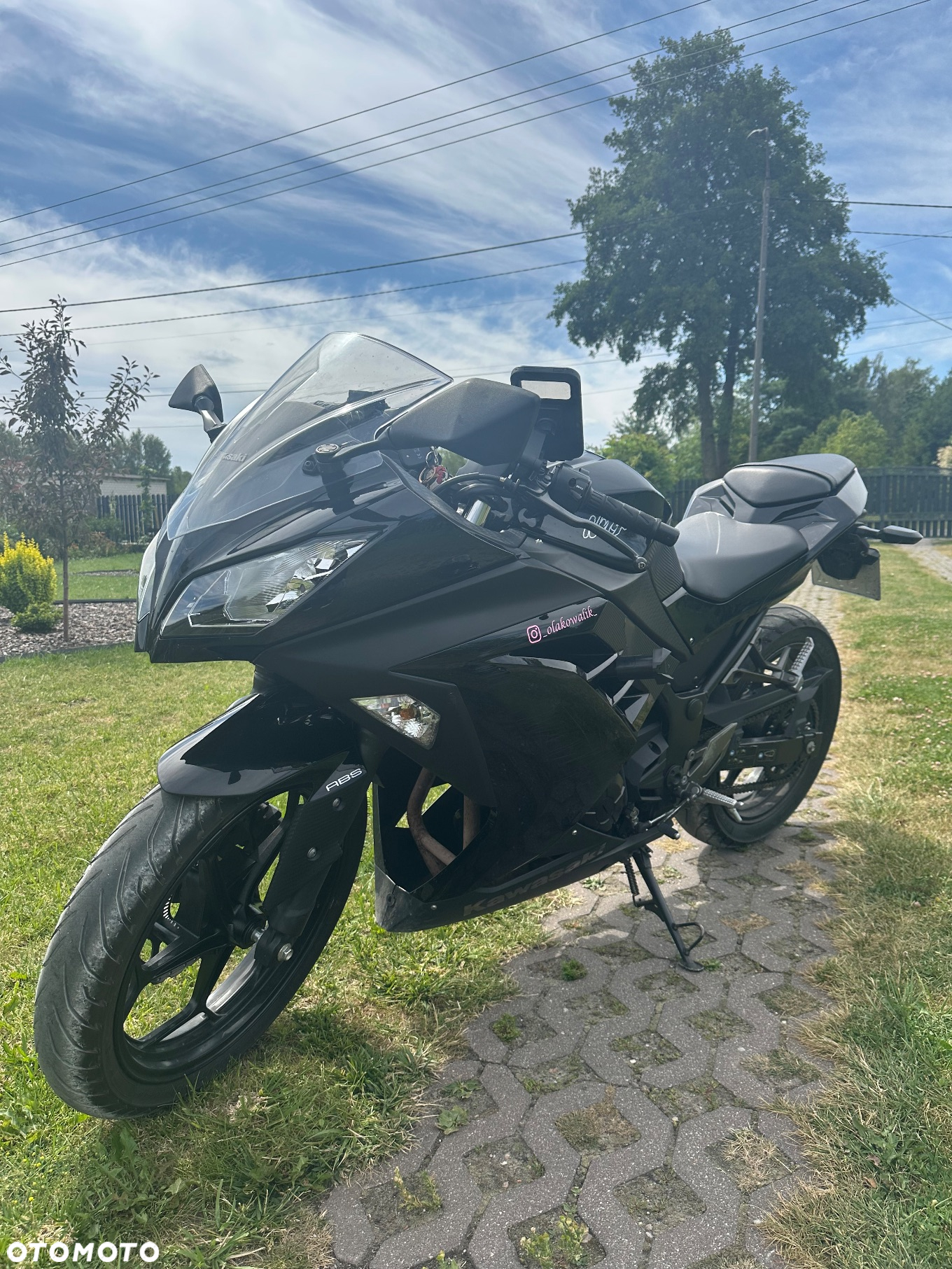 Kawasaki Ninja 300 ABS - 2