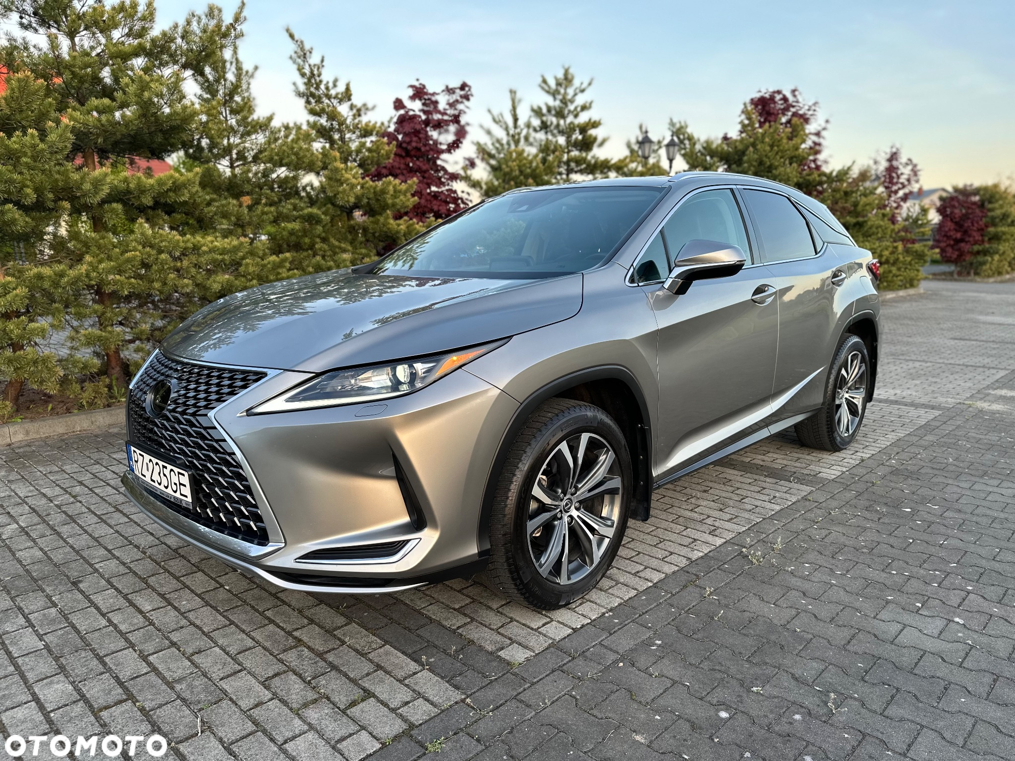 Lexus RX - 7