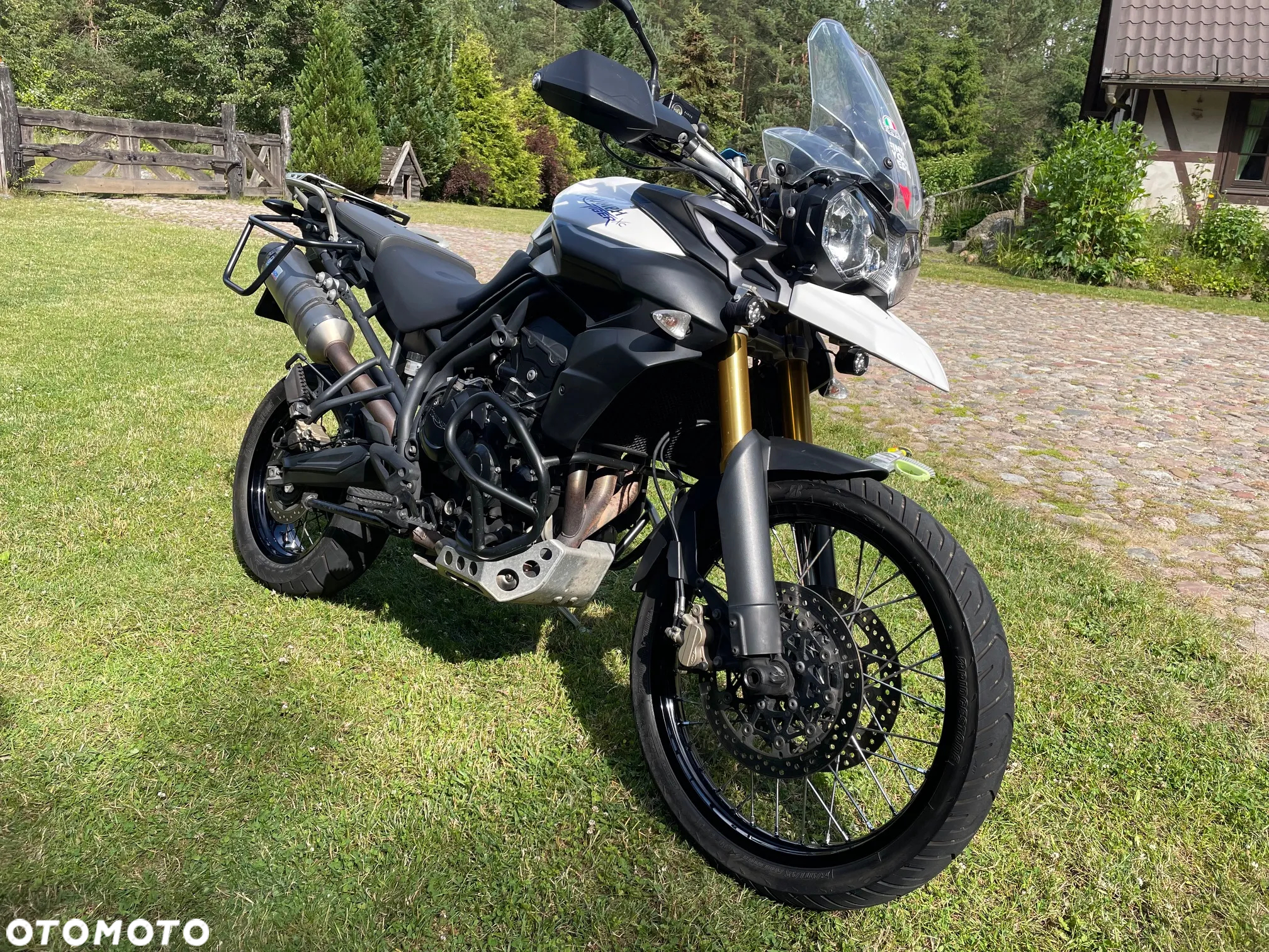 Triumph Tiger - 4