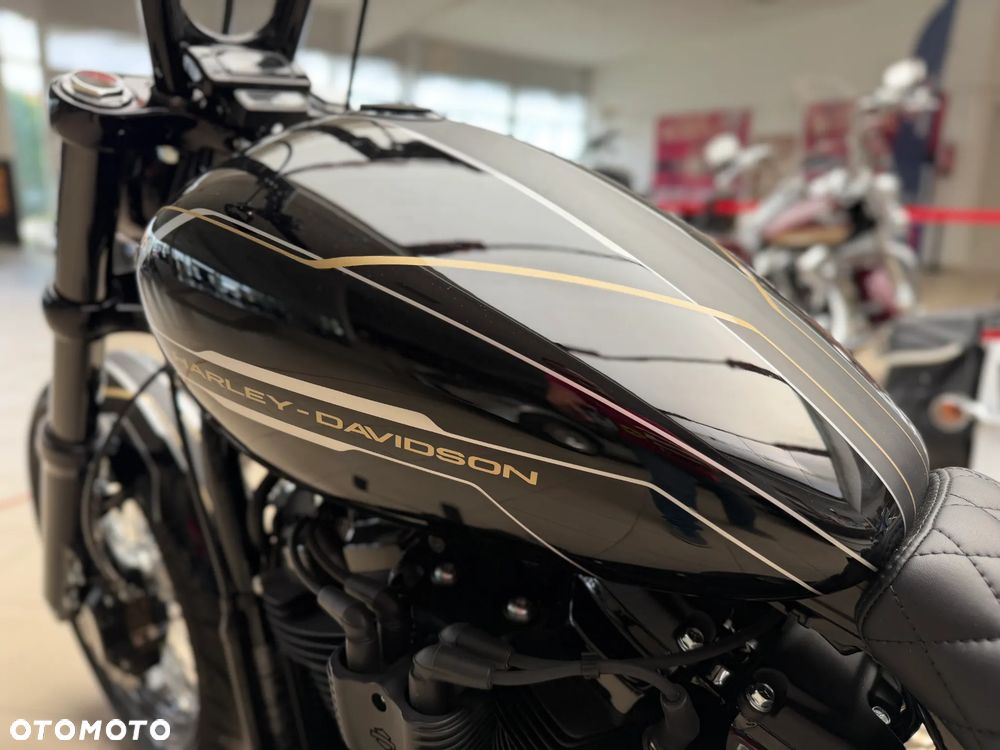Harley-Davidson Softail - 18