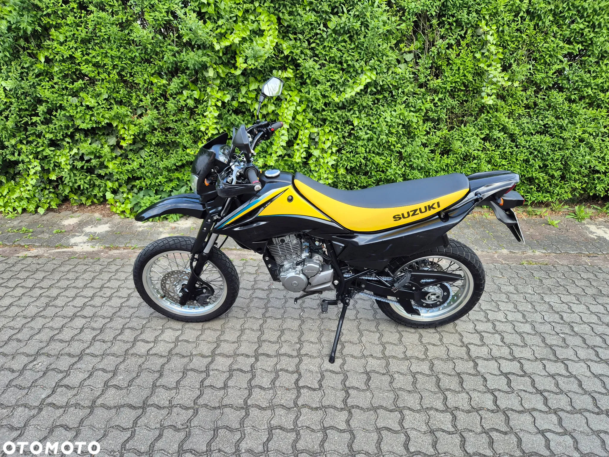 Suzuki DR - 11