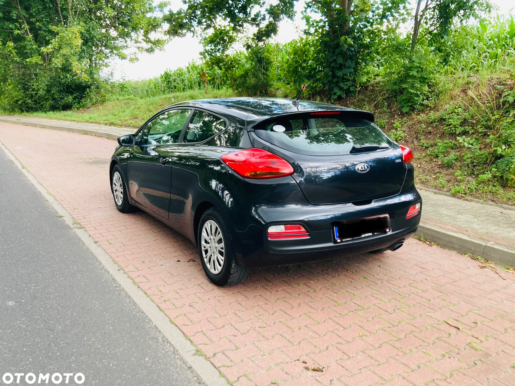 Kia ProCeed Pro_cee'd 1.4 CRDI M - 14
