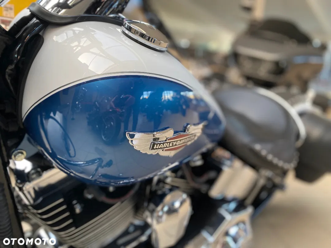 Harley-Davidson Softail - 22