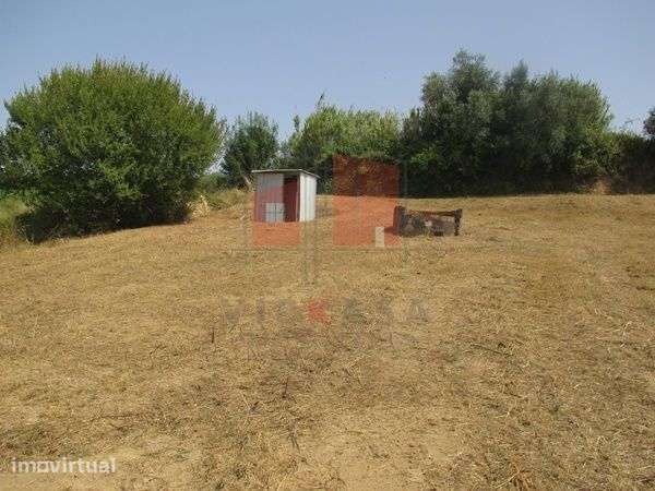 Terreno Rústico de 8062 m2 em Lombas – Gradil - Grande imagem: 4/11