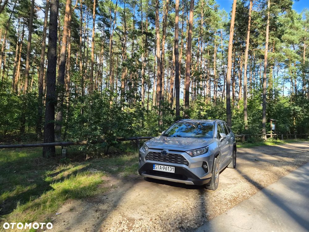 Toyota RAV4 2.5 Hybrid Comfort 4x2 - 8