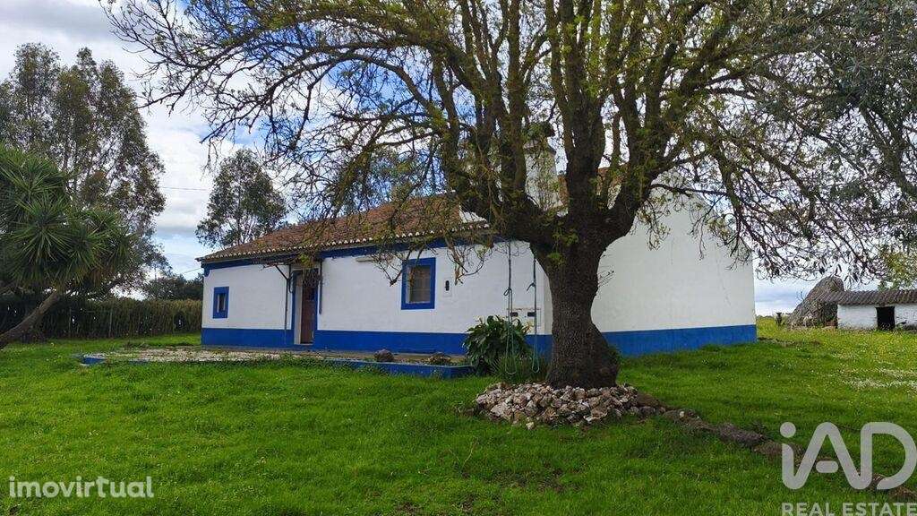 Quinta T2 em São Domingos de Ana Loura - Grande imagem: 3/20