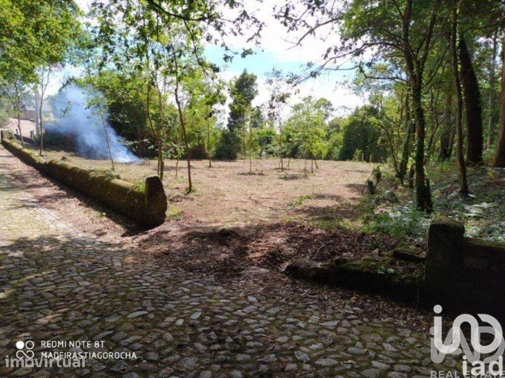 Terreno em Seixas de 1934,00 m2 - Grande imagem: 2/10
