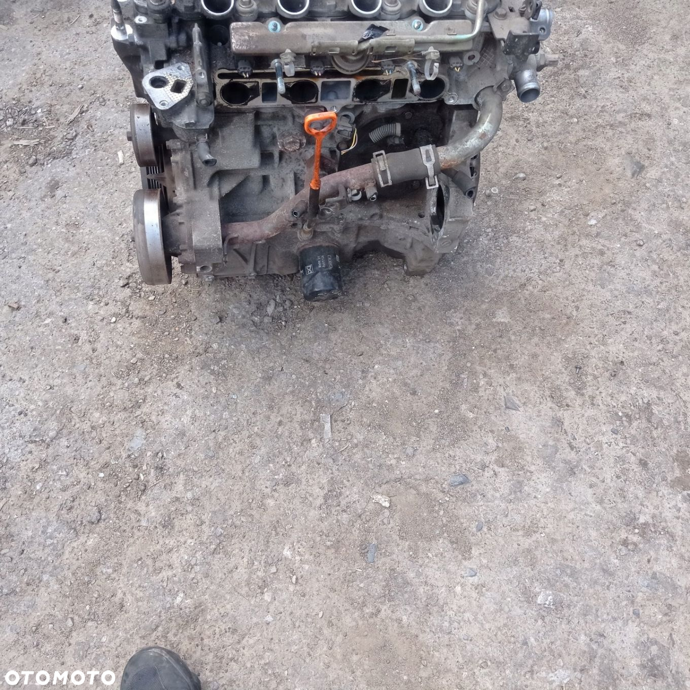 Silnik Honda Jazz II 1.3 VVTi L13A1 - 4