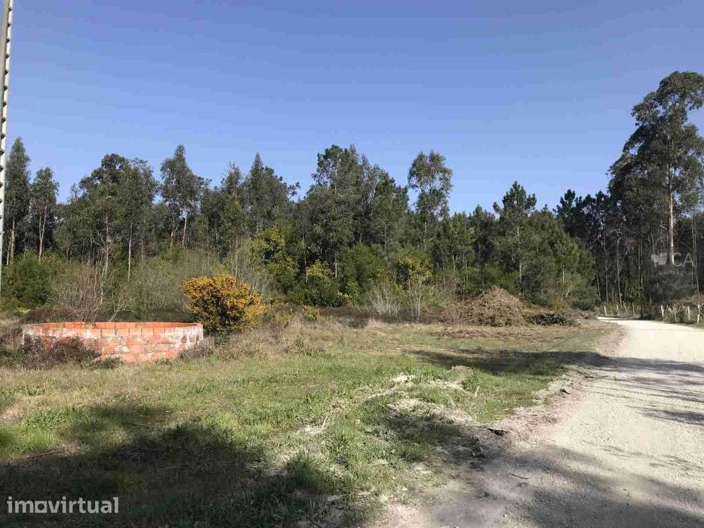 Venda conjunta de 9 terrenos rústicos com área total de 26.407m² - Grande imagem: 4/5
