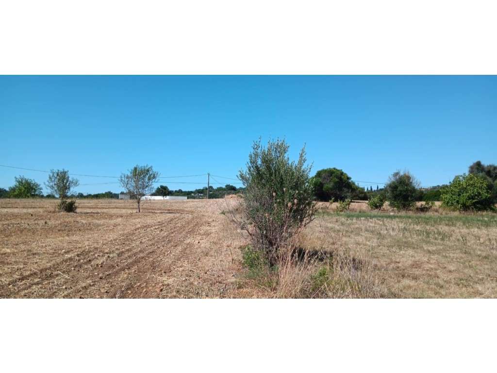 Terreno Rústico 8.480 m² Odiáxere, Lagos - Grande imagem: 4/13