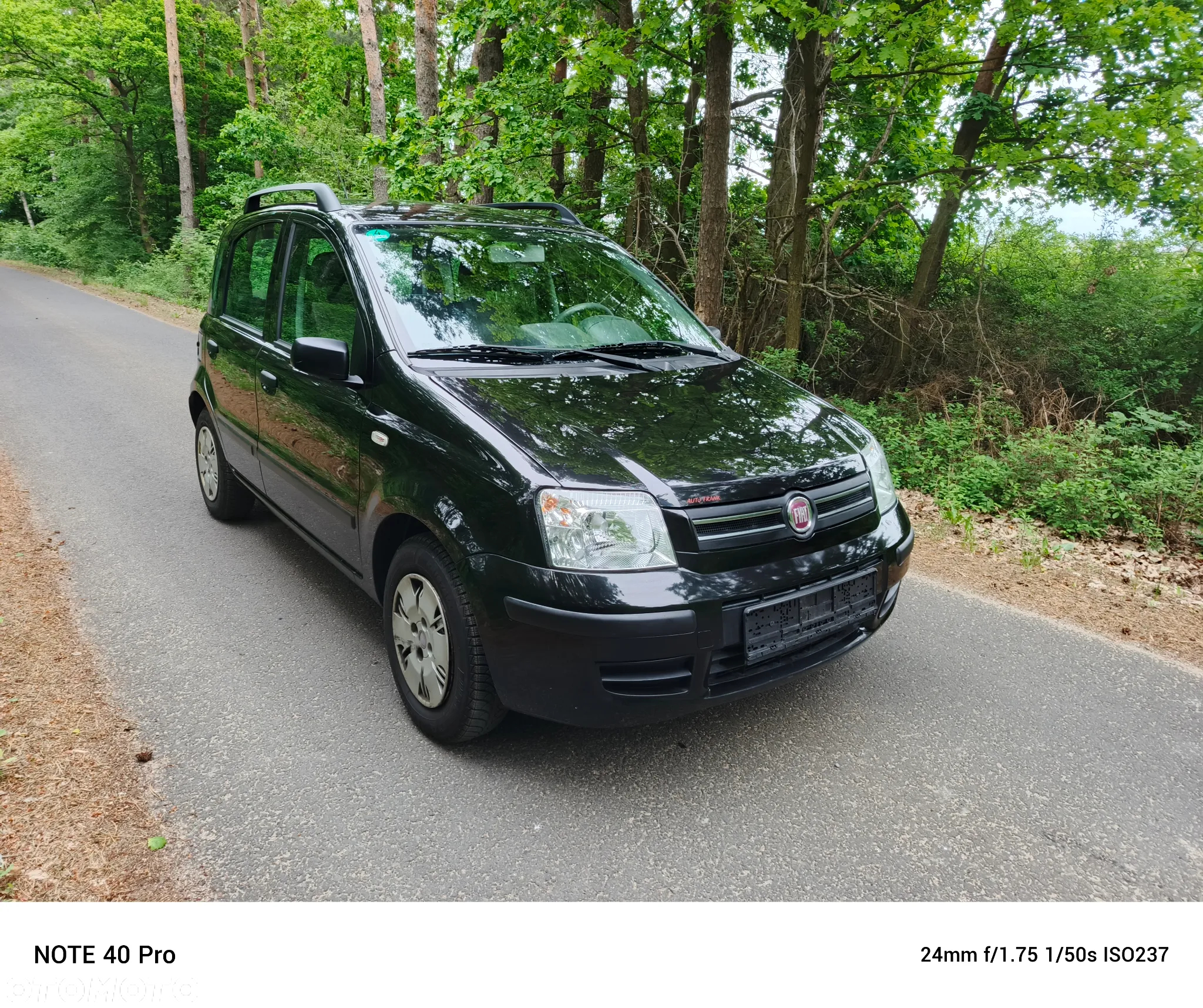 Fiat Panda 1.2 Dynamic Plus - 4