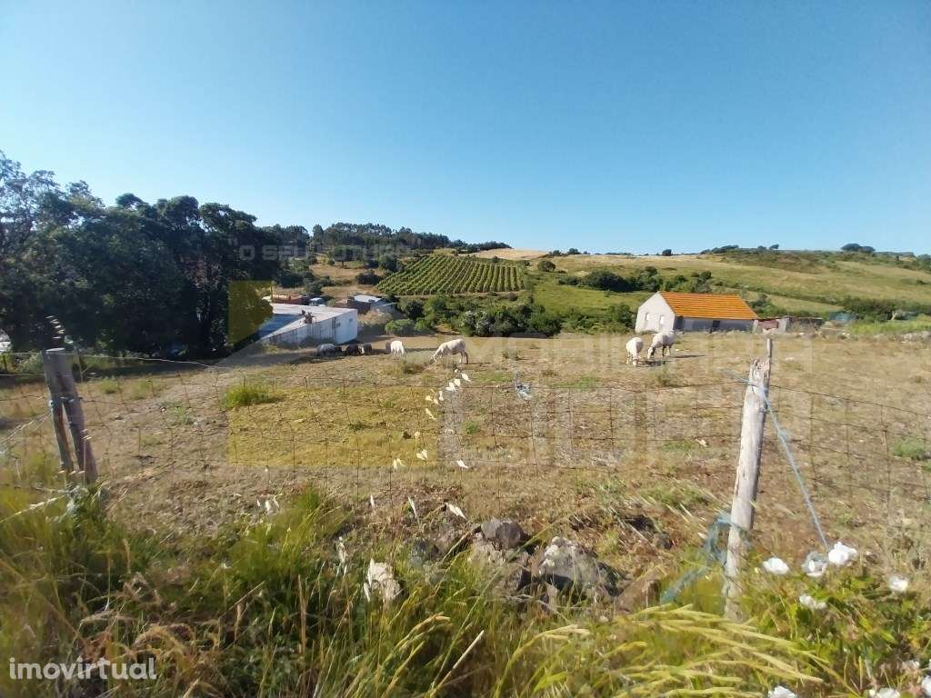 Terreno Rústico com 3937m2 na Igreja Nova, Mafra - Grande imagem: 3/9