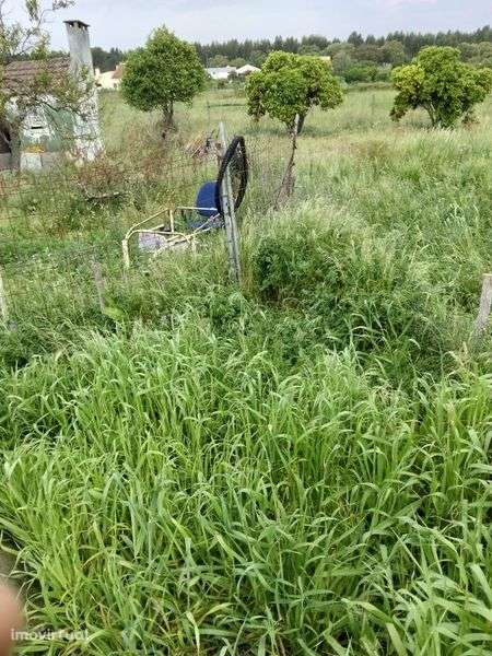 Arrendamento casa - Grande imagem: 2/7